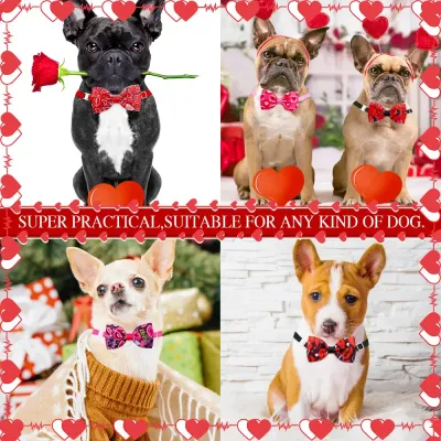 cat bow tie accessory cat bow tie accessory
