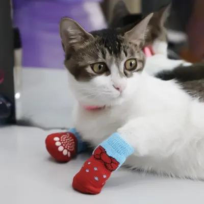 elastic pet socks elastic pet socks
