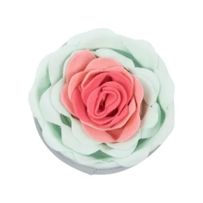 pet puzzle feeding toy