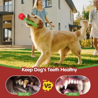 Pet chewing accessory Pet chewing accessory