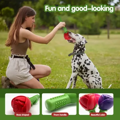 TPR dog toy TPR dog toy