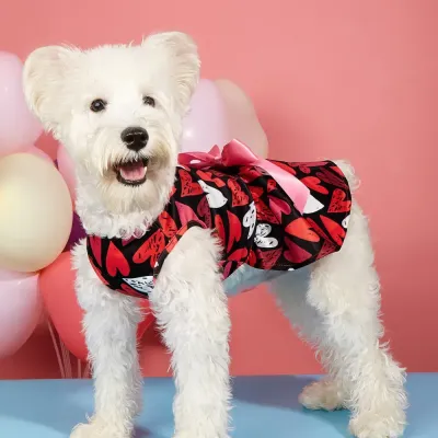 teddy dog outfit teddy dog outfit