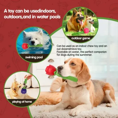 Durable dog chew Durable dog chew
