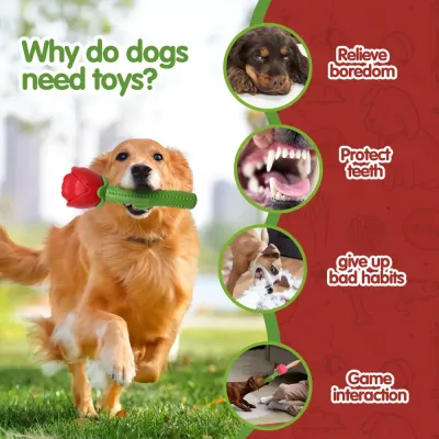 Corgi toy Corgi toy