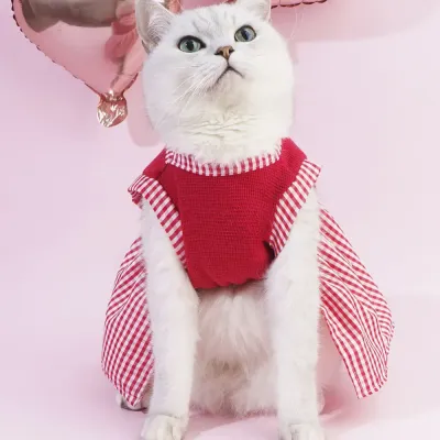 Valentine cat outfit