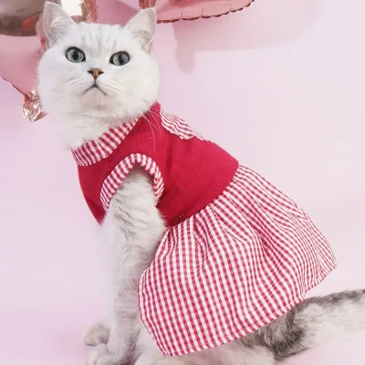 cute kitten apparel