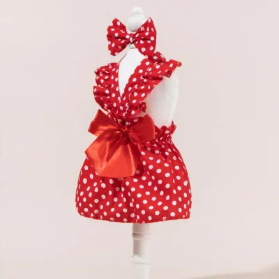 pet occasion outfit