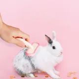 ABS pet comb