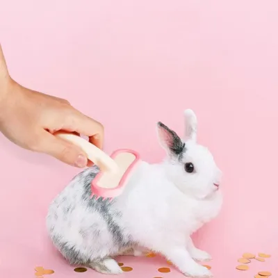 ABS pet comb