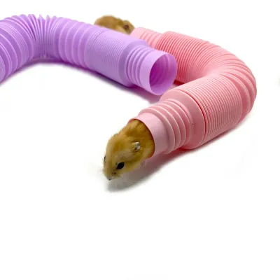 Hamster enrichment toy