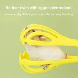Pet grooming tool Pet grooming tool
