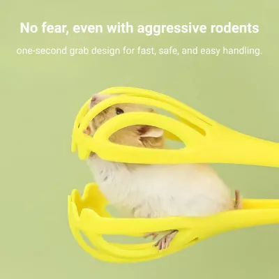 Pet grooming tool