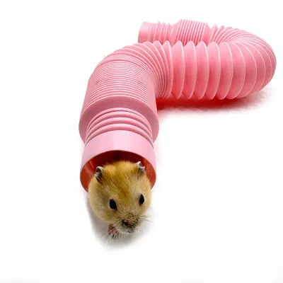 Pet maze accessory