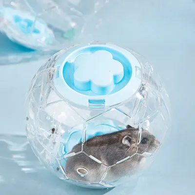 Outdoor hamster ball