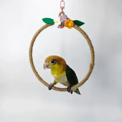 Pet bird activity toy