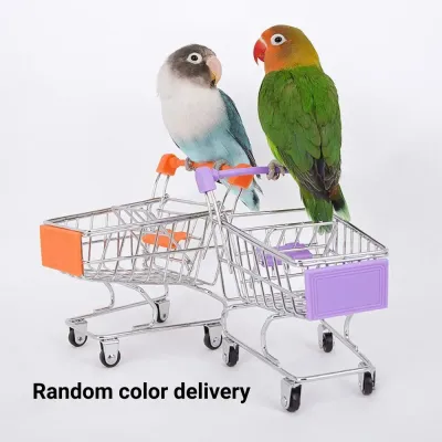 Storage jar bird toy Storage jar bird toy