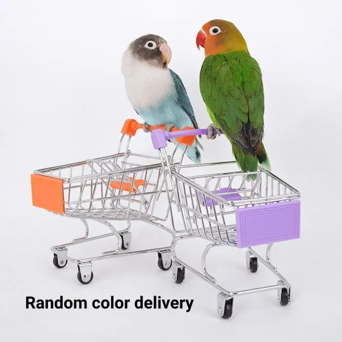 Storage jar bird toy Storage jar bird toy