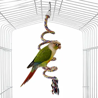 Interactive parrot toy Interactive parrot toy