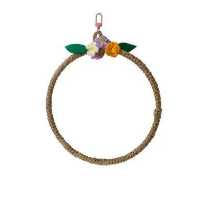Parrot swing toy