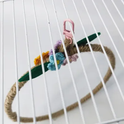 Colorful bird swing