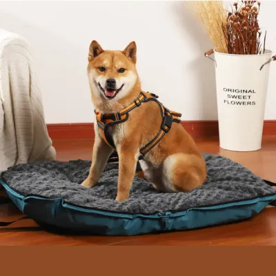 lightweight pet bed