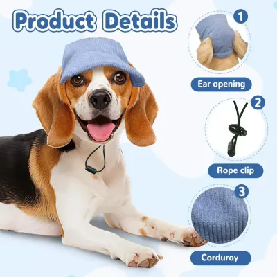 pet accessory hat