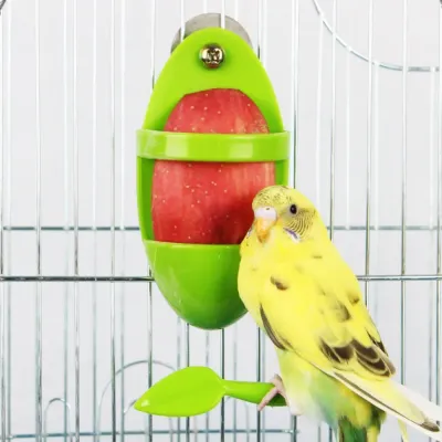 lovebird feeder