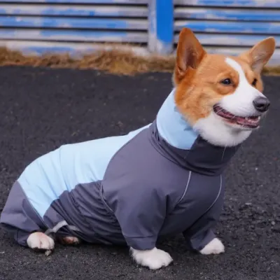 pet outdoor jacket