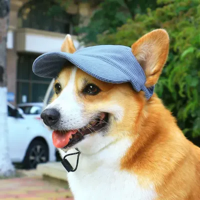 dog hat wholesale