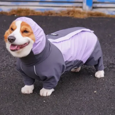 reflective dog jacket