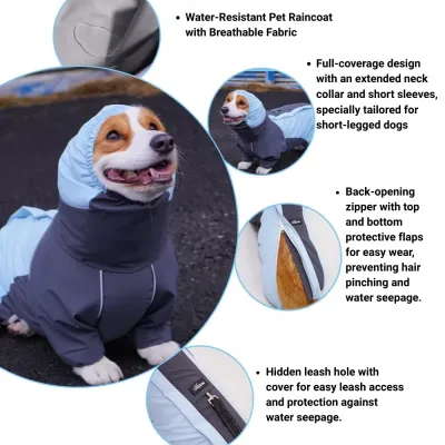 corgi raincoat
