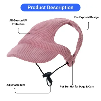 pet travel hat