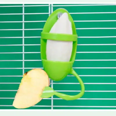 budgie feeder