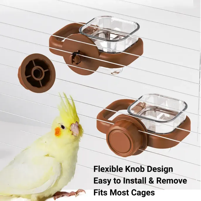 pet bird feeding accessory