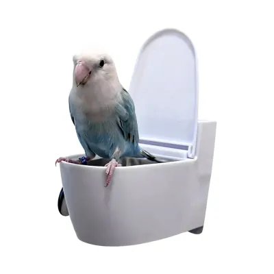 parrot toilet parrot toilet