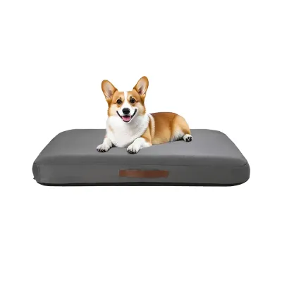 Summer Pet Bed Inflatable-L