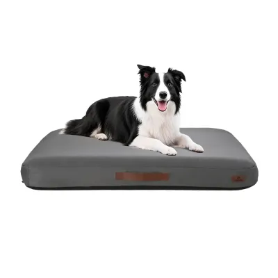 Inflatable Pet Beds Waterproof