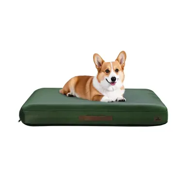 Outdoor Dog Bed