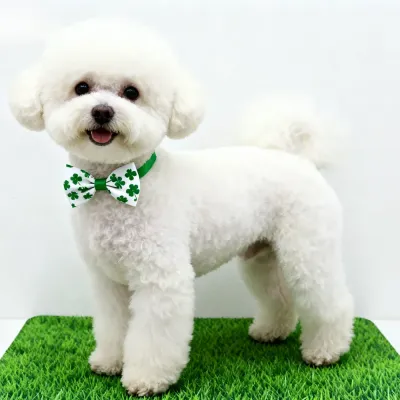 Irish festival pet accessory