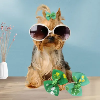 Festival pet accessory Festival pet accessory