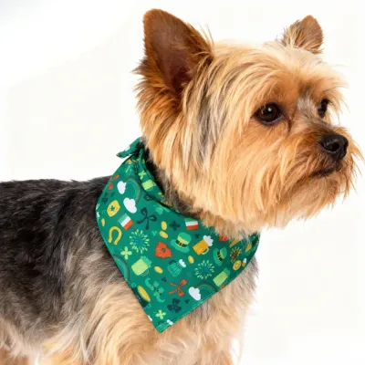 Saint Patrick pet outfit Saint Patrick pet outfit