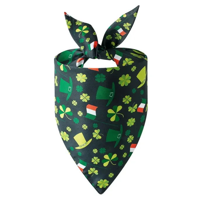 Pet holiday accessory