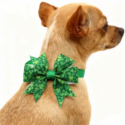 festive pet collar festive pet collar