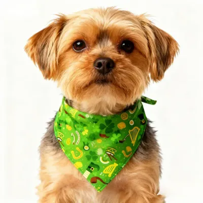st patrick cat bandana