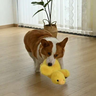 Cute Duckling Style Plush Dog Toy with Squeaker4