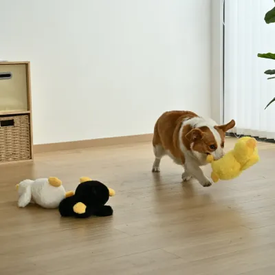 Cute Duckling Style Plush Dog Toy with Squeaker5