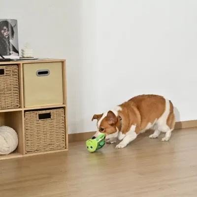 Green Turtle Style Tug-of-War Dog Toy with Squeaker5 Green Turtle Style Tug-of-War Dog Toy with Squeaker5