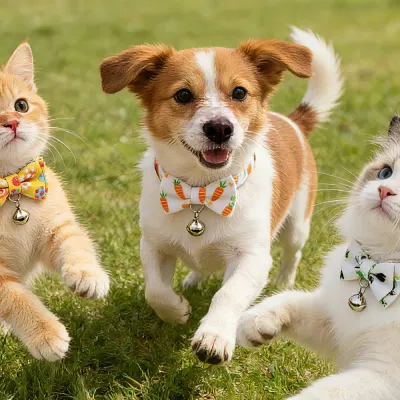 Wholesale Easter Egg Rabbit Carrot Cute Easter Cat Collar with Bow Tie   