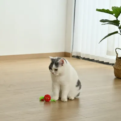 3-Piece Set Colorful TPR Cat Ball Toy with a Plush Tail2 3-Piece Set Colorful TPR Cat Ball Toy with a Plush Tail2