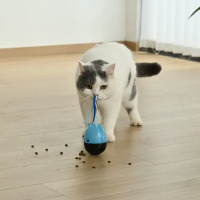 Multifunctional Detachable Cat Roly-Poly Toy with Bell and Ribbon4 Multifunctional Detachable Cat Roly-Poly Toy with Bell and Ribbon4